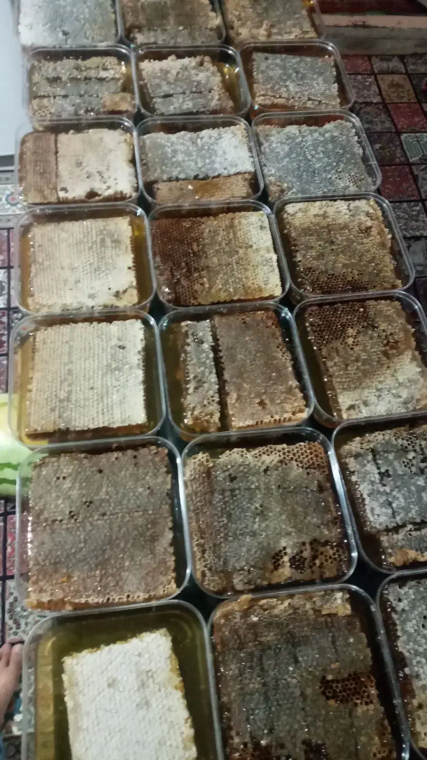 عسل طبیعی ۲۹۰ هزار|خوردنی و آشامیدنی|محمدیه-قزوین, |دیوار