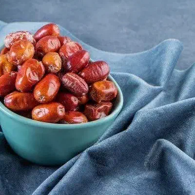نهالستان رجبی تولید نهال سنجد خرمایی|خدمات باغبانی و درختکاری|نسیم‌شهر, |دیوار