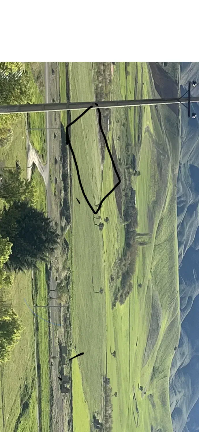 ۵۰۰۰ متر با مجوز گلخانه هدروپونیک|فروش زمین و ملک کلنگی|سنندج, |دیوار