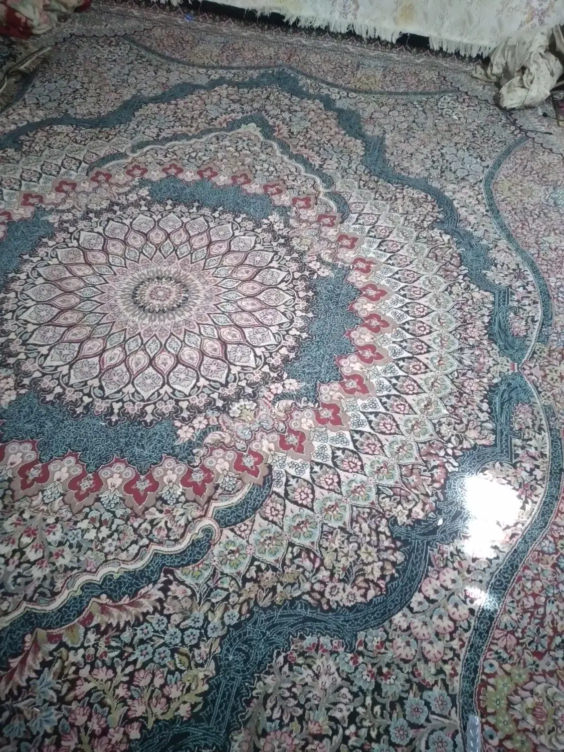 2عدد قالی 12متری|فرش|جیرفت, |دیوار