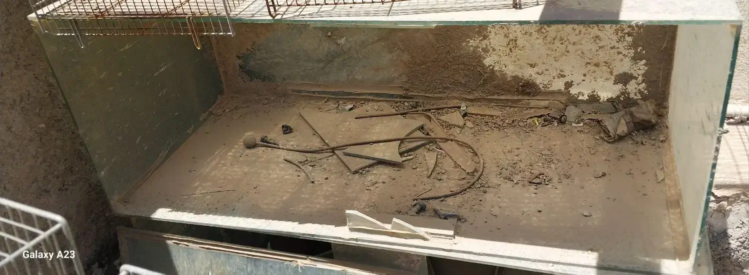 ۳ عدد آکواریم فروشی|لوازم جانبی حیوانات|قم, بنیاد|دیوار