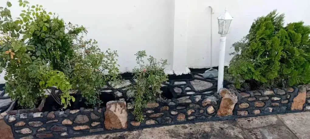 سیمانکاری و نرمه حرفه ای|خدمات پیشه و مهارت|ماکو, |دیوار