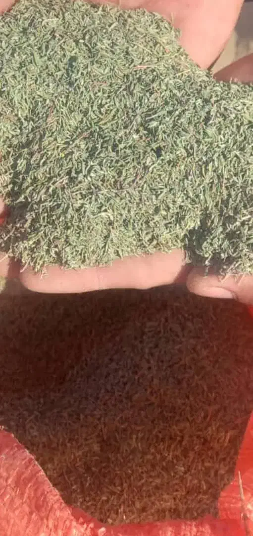 فروش دو تن آویشن باغی قیمت کیلو700هزار تومان|خوردنی و آشامیدنی|ششده و قره بلاغ, |دیوار