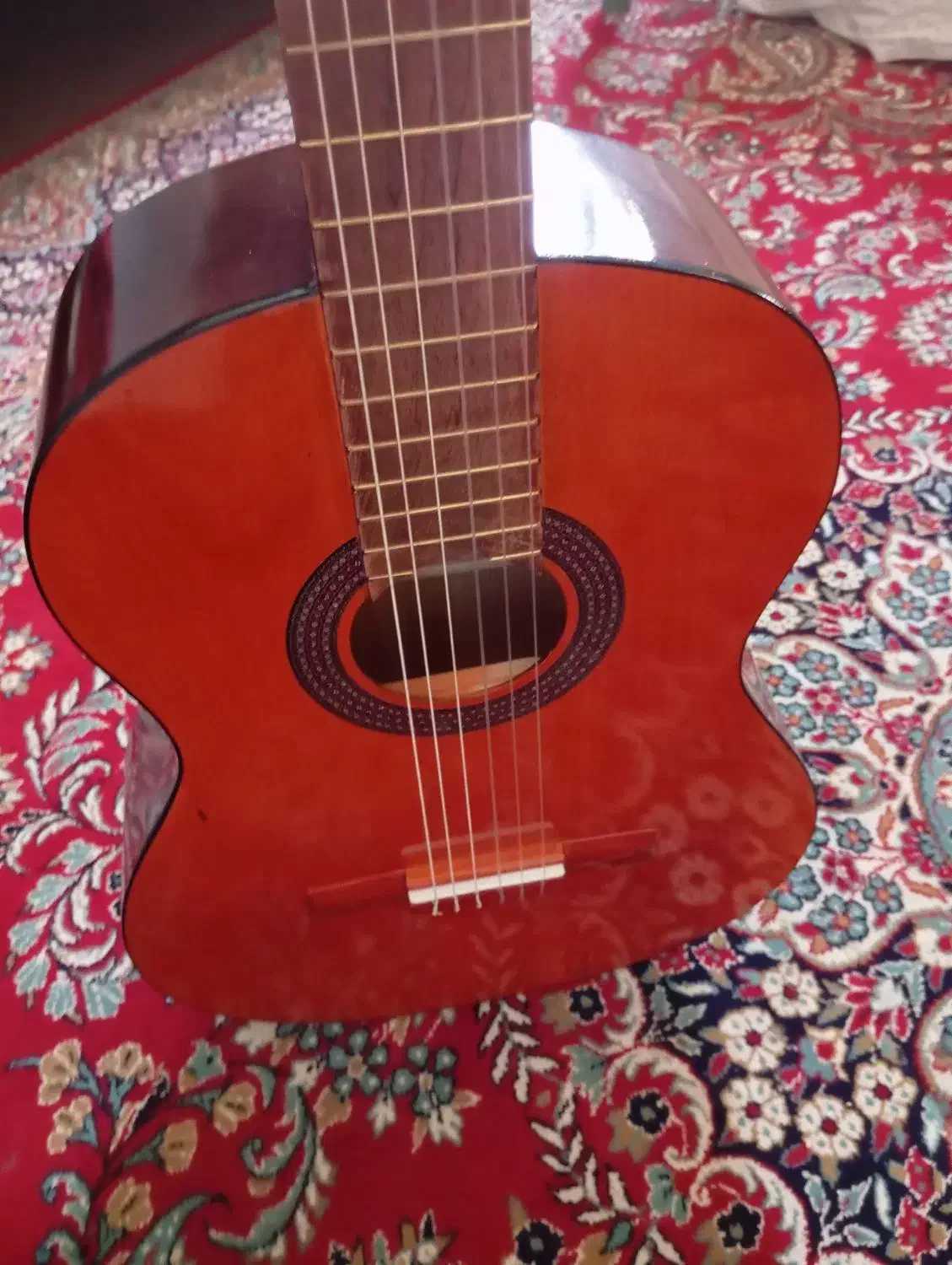 گیتار Mat2 pelas|گیتار، بیس، امپلیفایر|رودان, |دیوار