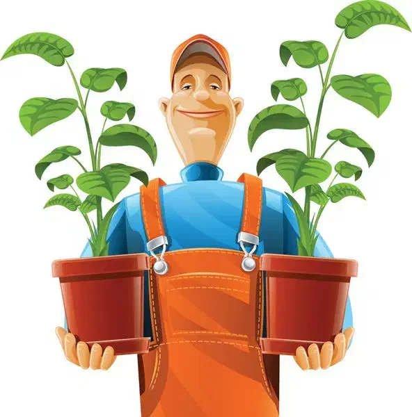 باغبانی و هرس و بریدن درخت و چمن زنی و پاکسازی|خدمات باغبانی و درختکاری|رشت, باهنر|دیوار