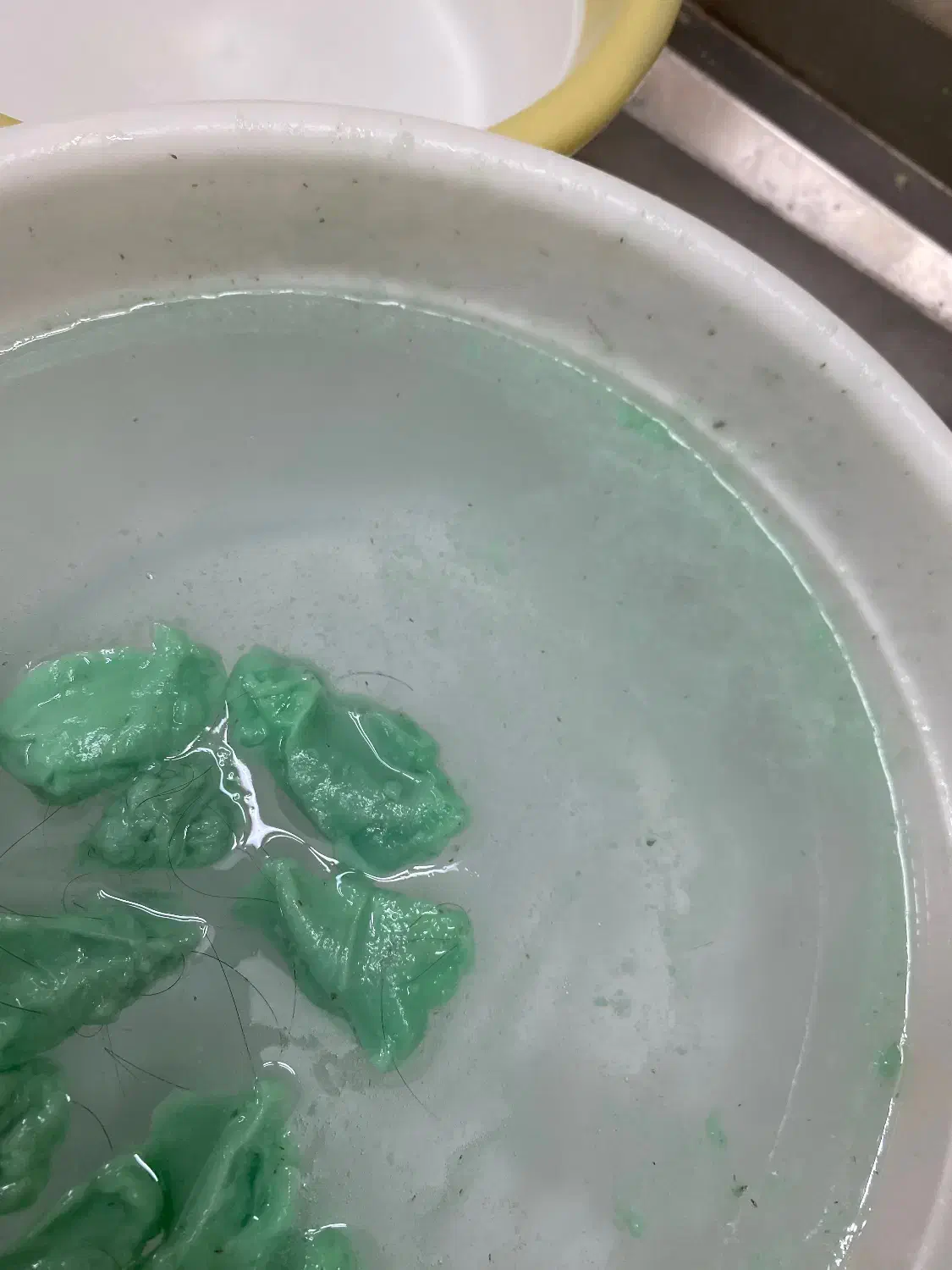 رفع قطعی شپش|آرایشی، بهداشتی، درمانی|اردکان, |دیوار