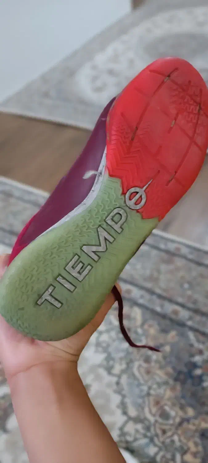 کتانی سالنی|کیف، کفش، کمربند|رشت, بلوار گیلان|دیوار