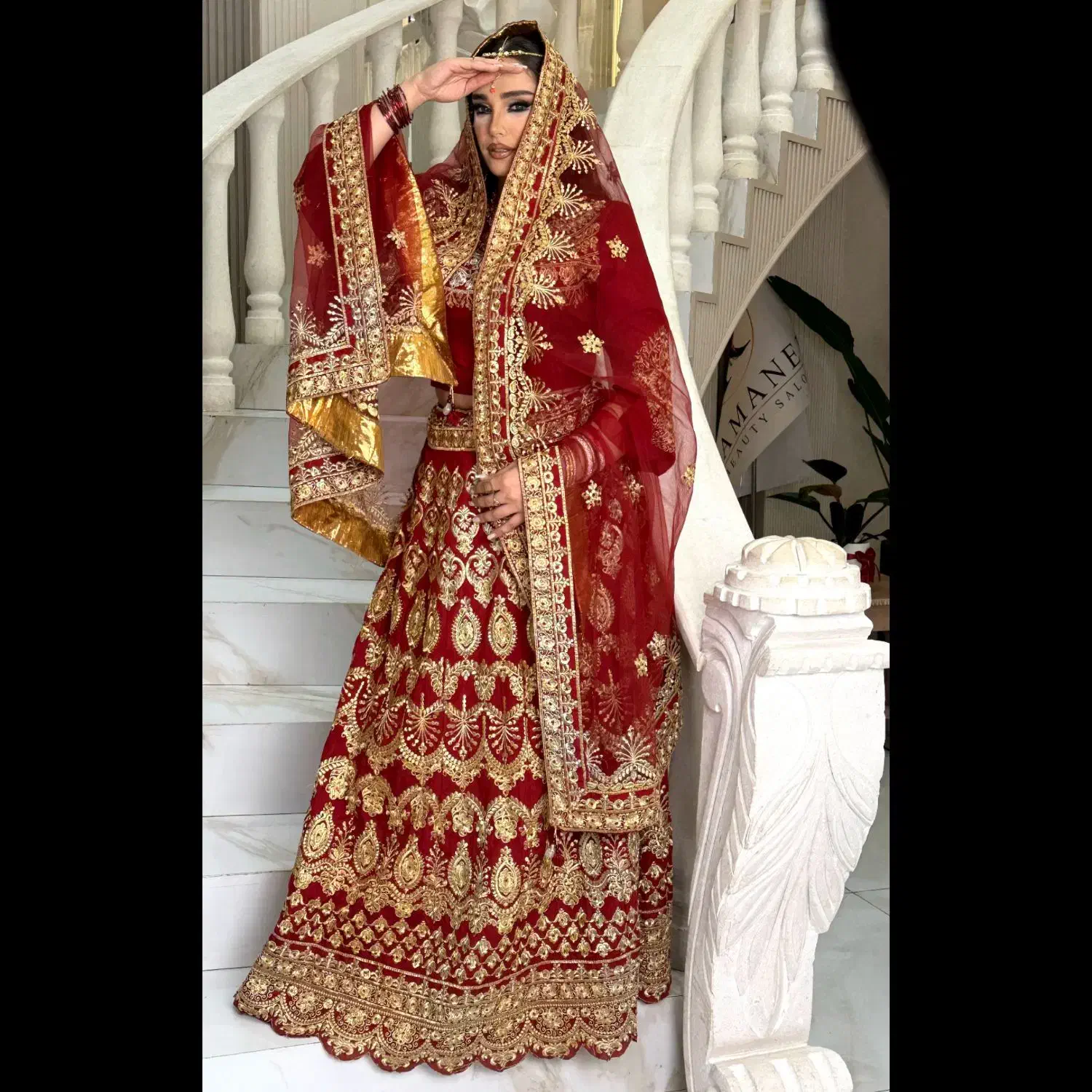 کرایه لباس هندی لباس مجلسی هندی اصل زرشکی طرح توکا|لباس|شیراز, شاهچراغ|دیوار