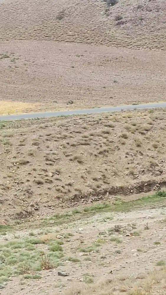 زمین دراتوبان تبریز ،اهر،امند،80 متر فاصله باجاده|فروش دفتر صنعتی، کشاورزی، تجاری|خواجه, |دیوار