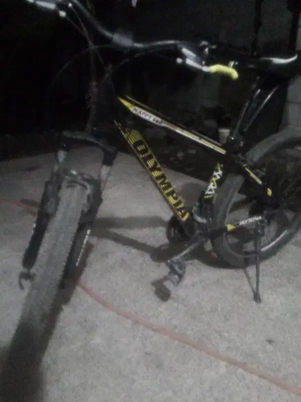 دوچرخه الم پیا سایز ۲۶ در حد نو|دوچرخه، اسکیت، اسکوتر|پره‌سر, |دیوار