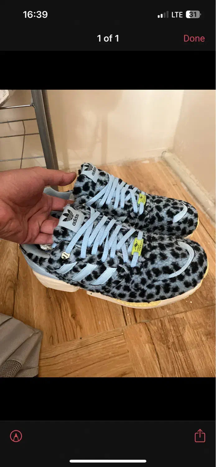 zx 6000|کیف، کفش، کمربند|کرج, حصار سرجوب|دیوار