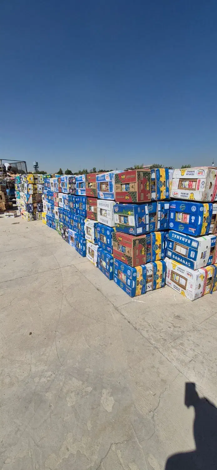 کارتن موزی|عمده‌فروشی|ری, صالح‌آباد شرقی|دیوار