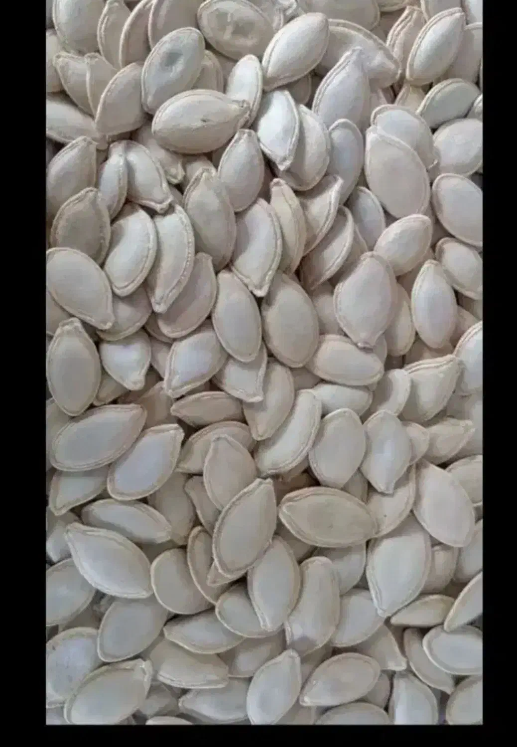 دویست کیلوتخمه گوشتی|خوردنی و آشامیدنی|کلیائی, |دیوار