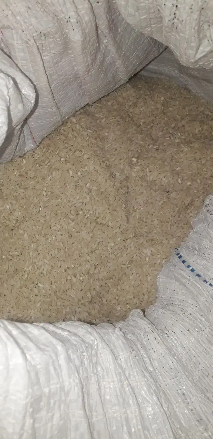 برنج محلی|خوردنی و آشامیدنی|لامرد, |دیوار