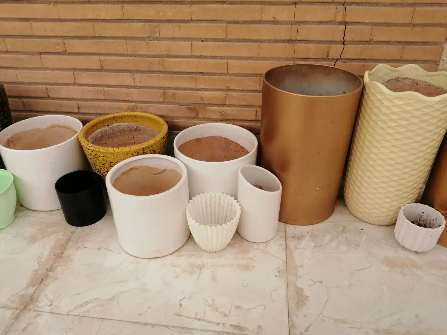 تعدادی گلدان بزرگ و کوچک|گل و گیاه طبیعی|اهواز, پردیس|دیوار