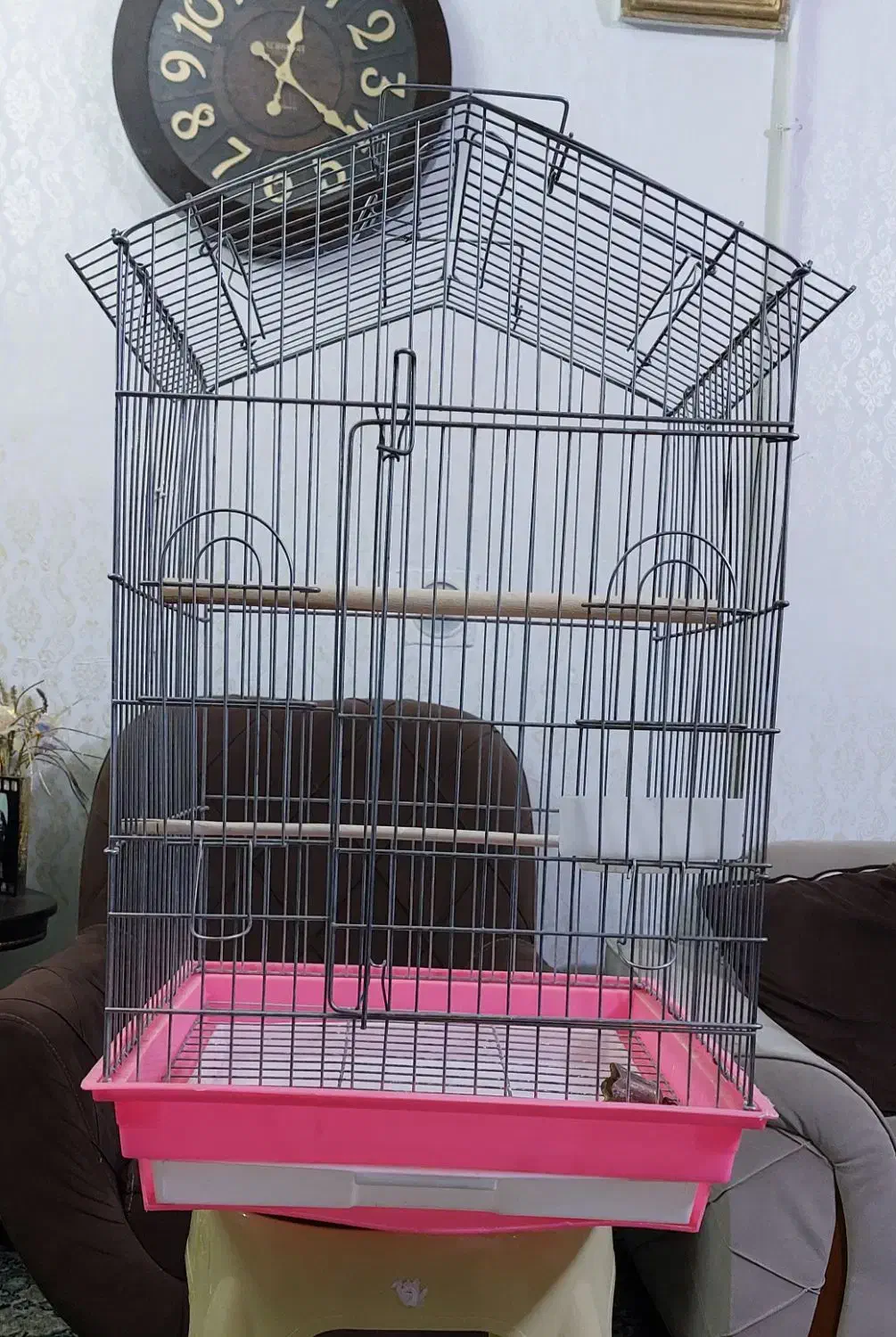 فروش قفس طوطی و عروس هلندی سایز بزرگ|لوازم جانبی حیوانات|صحنه, |دیوار