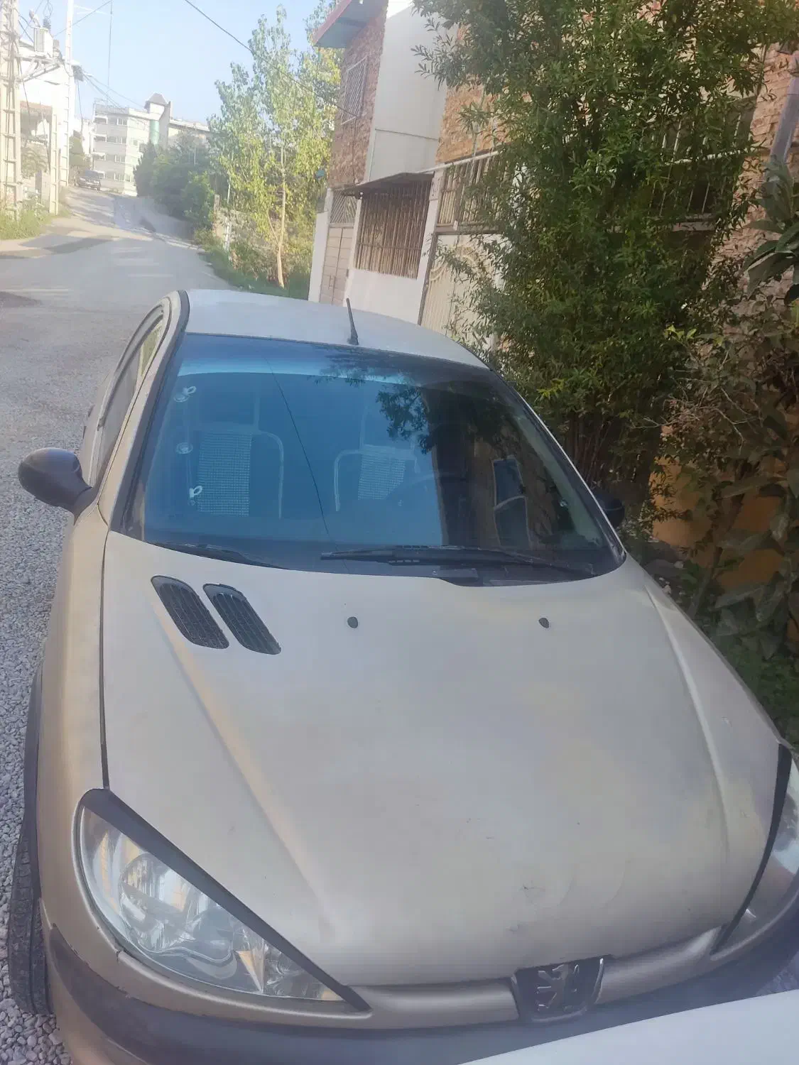 206دور رنگ شاسی پلمپ|خودرو سواری و وانت|محمودآباد, |دیوار