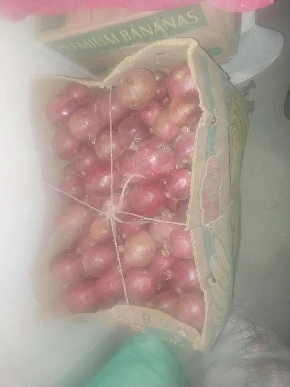 انار بجستان|حراج|بجستان, |دیوار