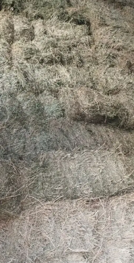 یونجه درجه یک|عمده‌فروشی|اسفرورین, |دیوار