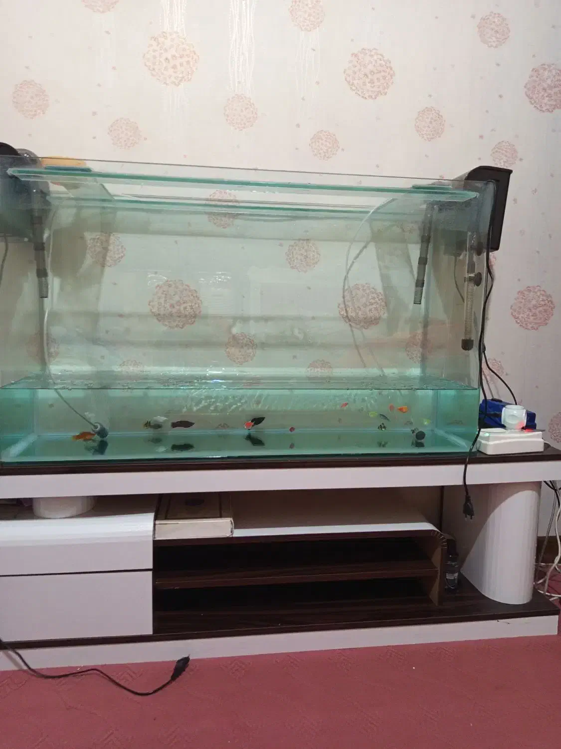 آکواریوم با تمام تجهیزات و قیمت مناسب|ماهی|بندرعباس, |دیوار