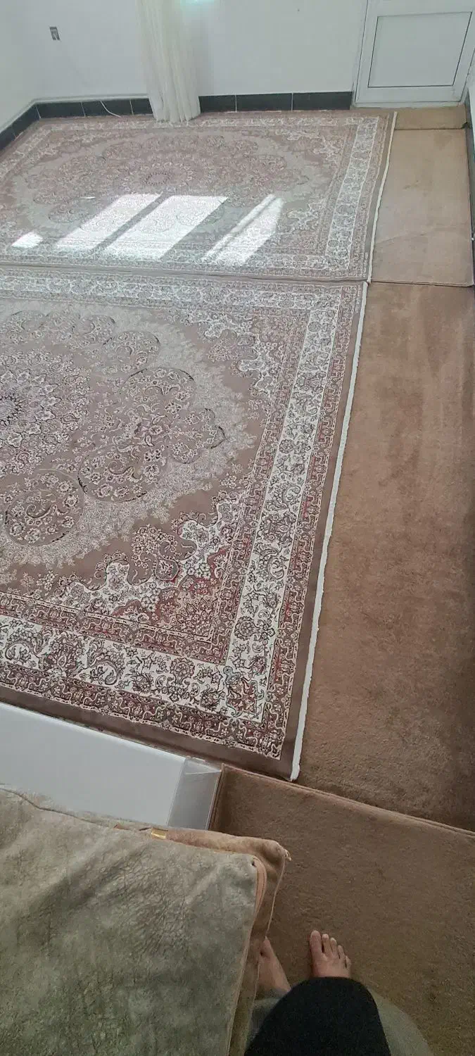 قالی کرمی و گردویی|فرش|سرپل ذهاب, |دیوار