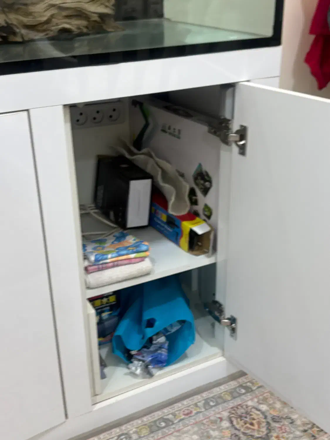 اکواریوم|ماهی|اسلامشهر, شهرک قائمیه|دیوار