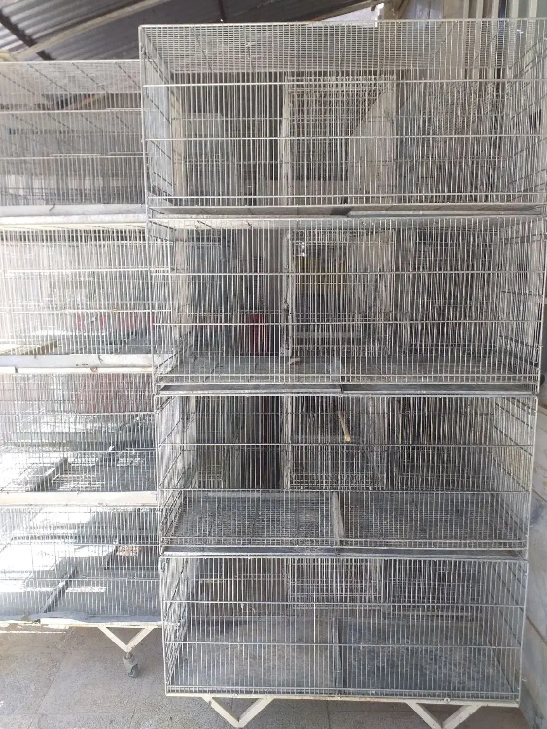 قفس پژاوند|لوازم جانبی حیوانات|نیشابور, پارک منابع طبیعی|دیوار