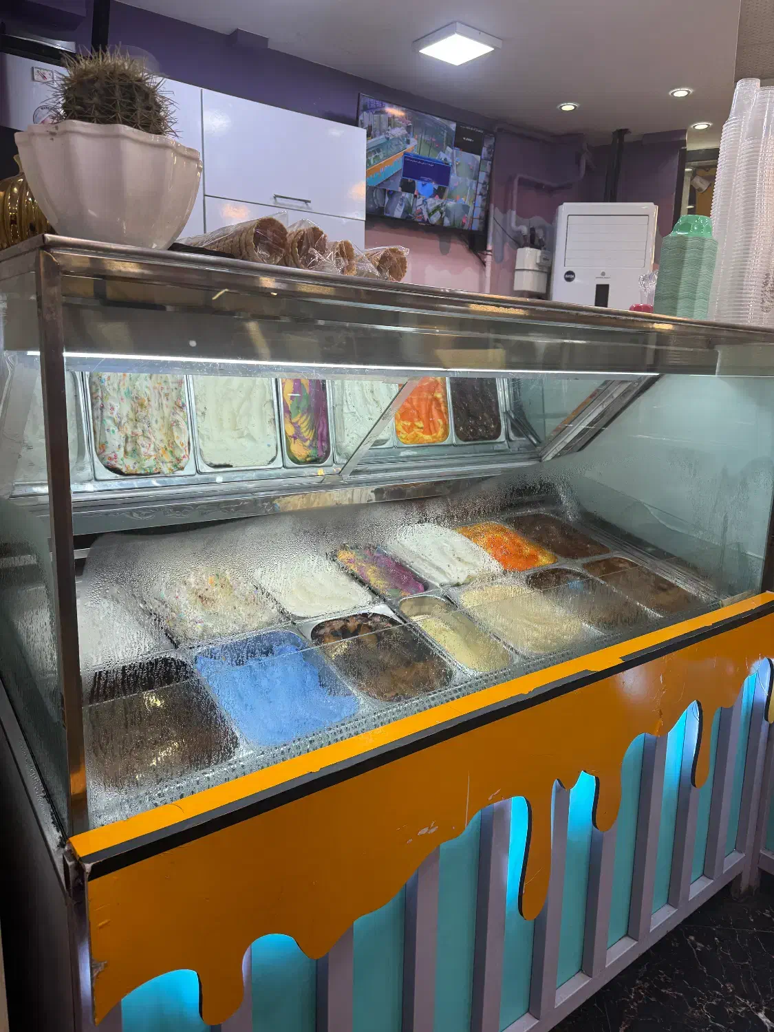 یخچال بستنی فروشی|فروشگاه و مغازه|رشت, کاکتوس|دیوار