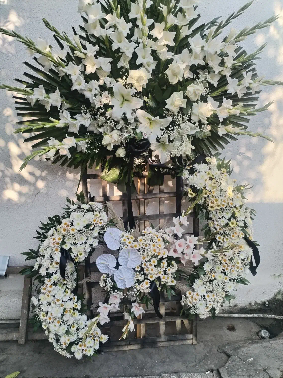 تاج گل برای مراسم|گل و گیاه طبیعی|بابلسر, |دیوار