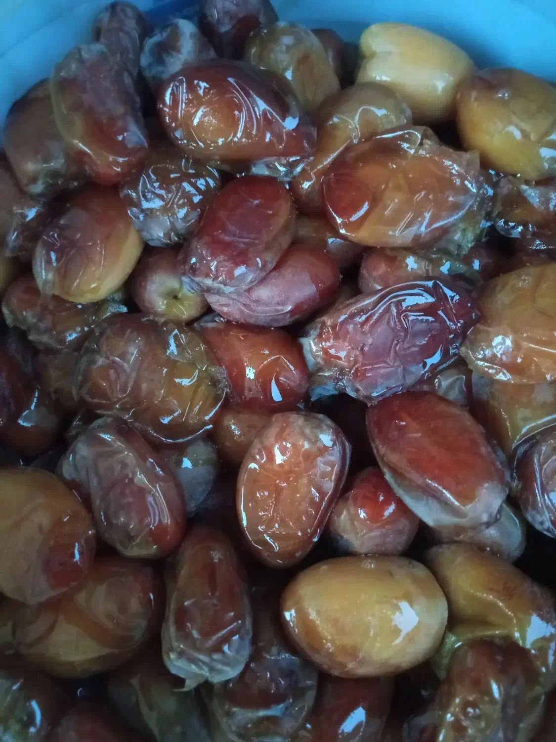 خرماعسلی.مکان بیرجند|خوردنی و آشامیدنی|جلگه ماژان, |دیوار