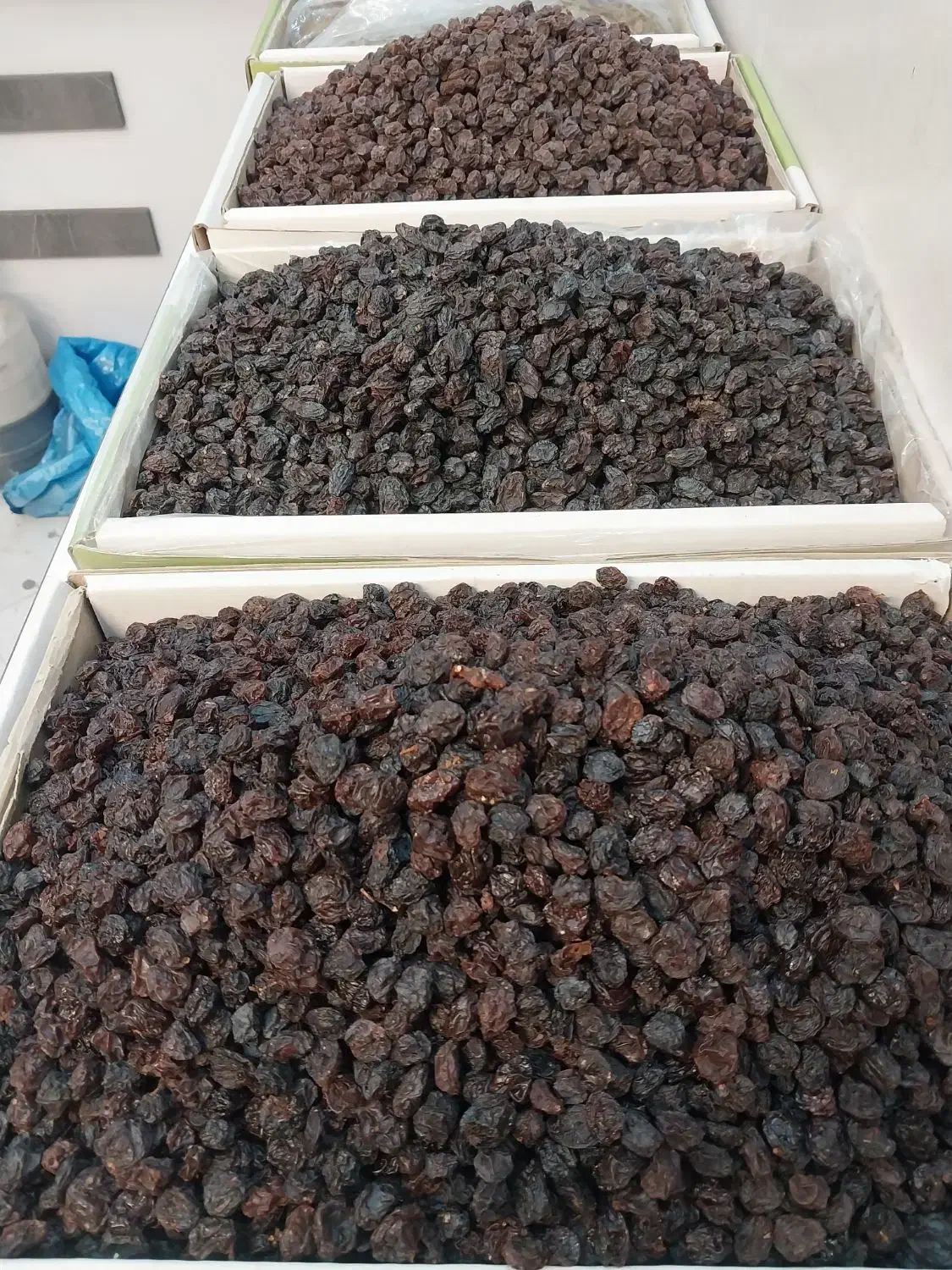 کشمش و میز|خوردنی و آشامیدنی|کرمان, |دیوار