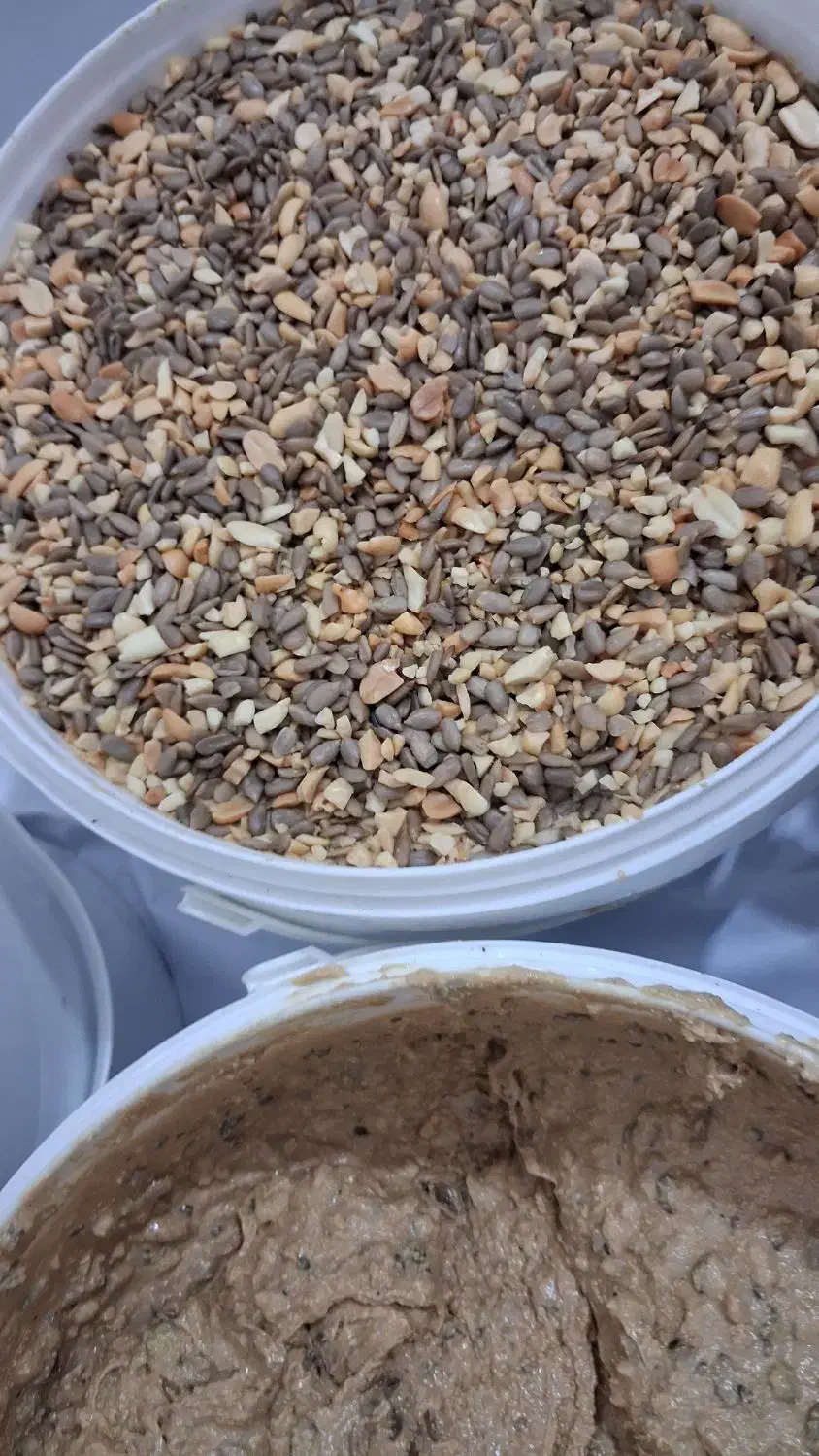 معجون مغزدار|خوردنی و آشامیدنی|ایلام, |دیوار