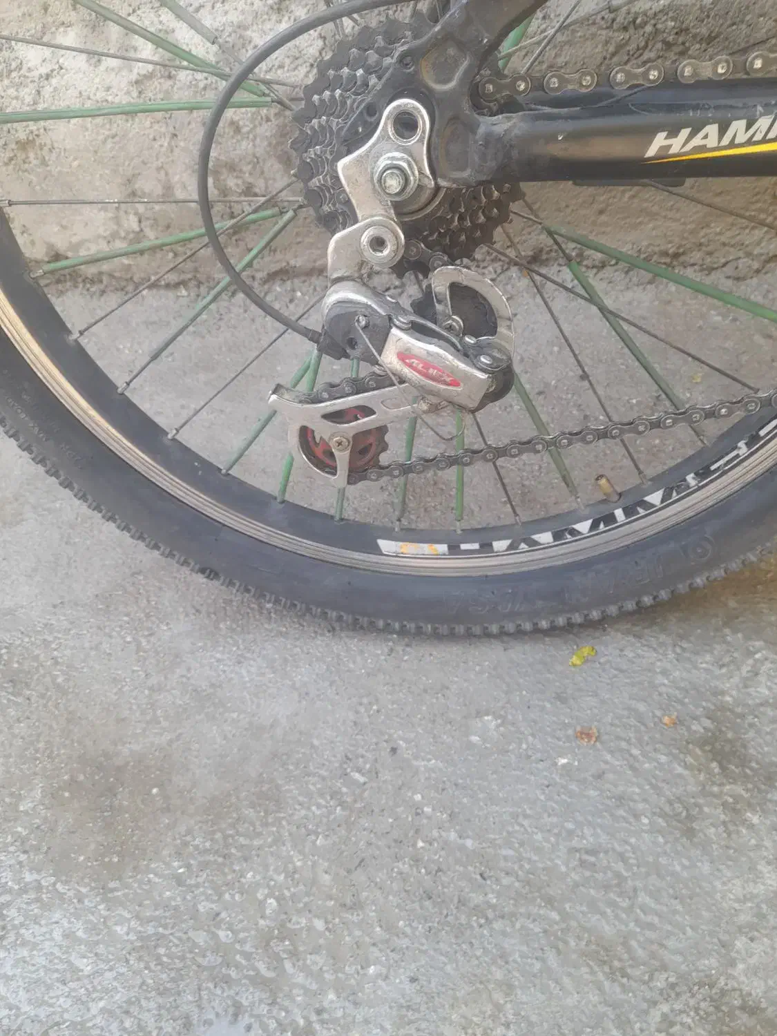 دوچرخه|دوچرخه، اسکیت، اسکوتر|خزل, |دیوار