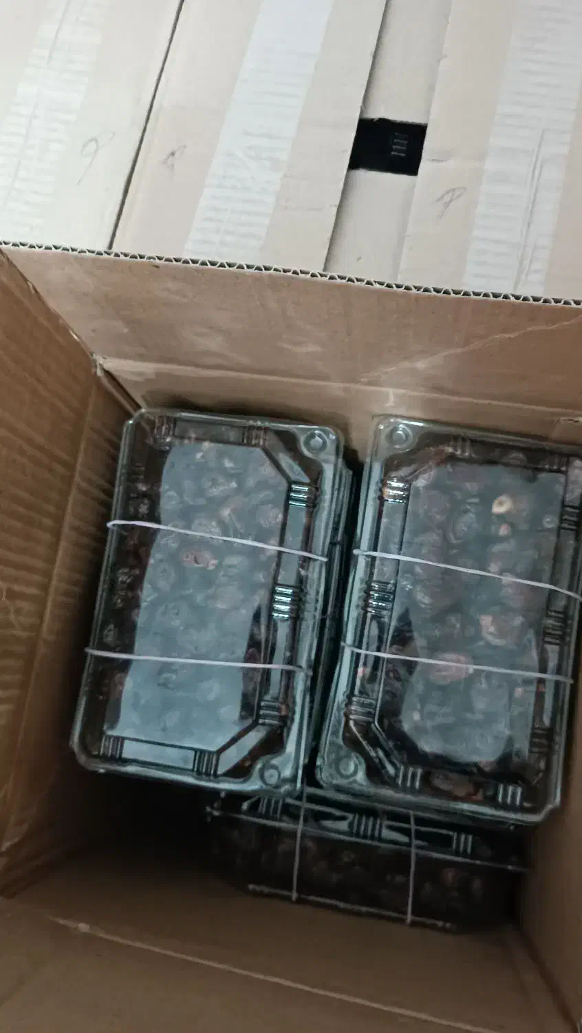 خرمای درجه یک جنوب از نوع شیره دار|خوردنی و آشامیدنی|گنبد کاووس, |دیوار