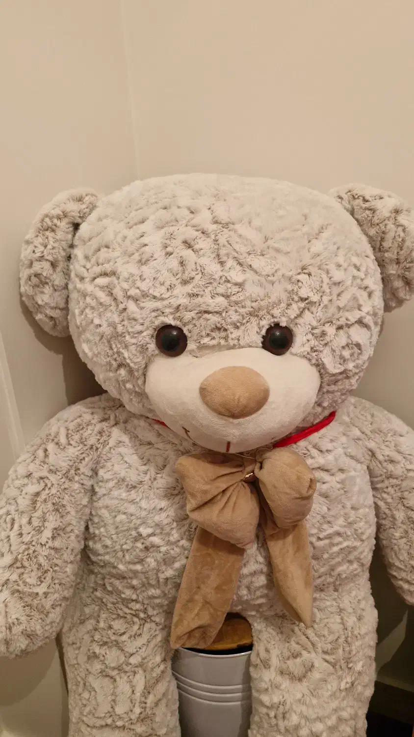 عروسک خرس پالیشی پاپیون دار مناسب هدیه ولنتاین|اسباب‌بازی بچه|تهران, گرگان|دیوار