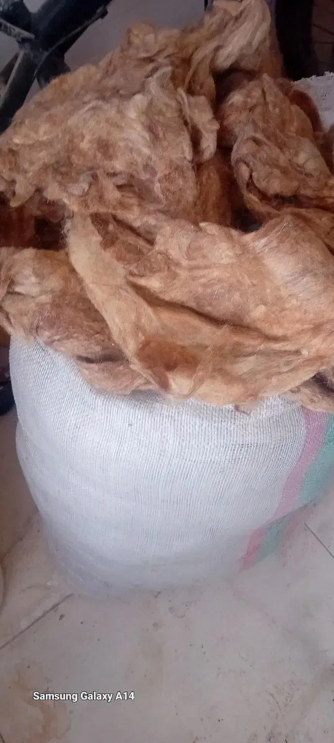 پشم آماده|رختخواب، بالش، پتو|سراب, |دیوار