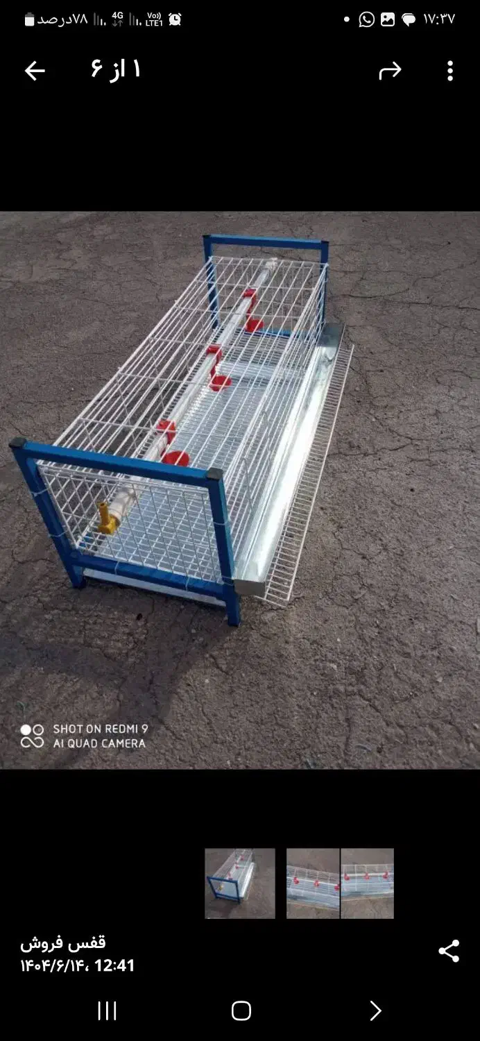 قفس مخصوص بلدرچین و کبوتر ومرغ|لوازم جانبی حیوانات|شنبه و طسوج, |دیوار