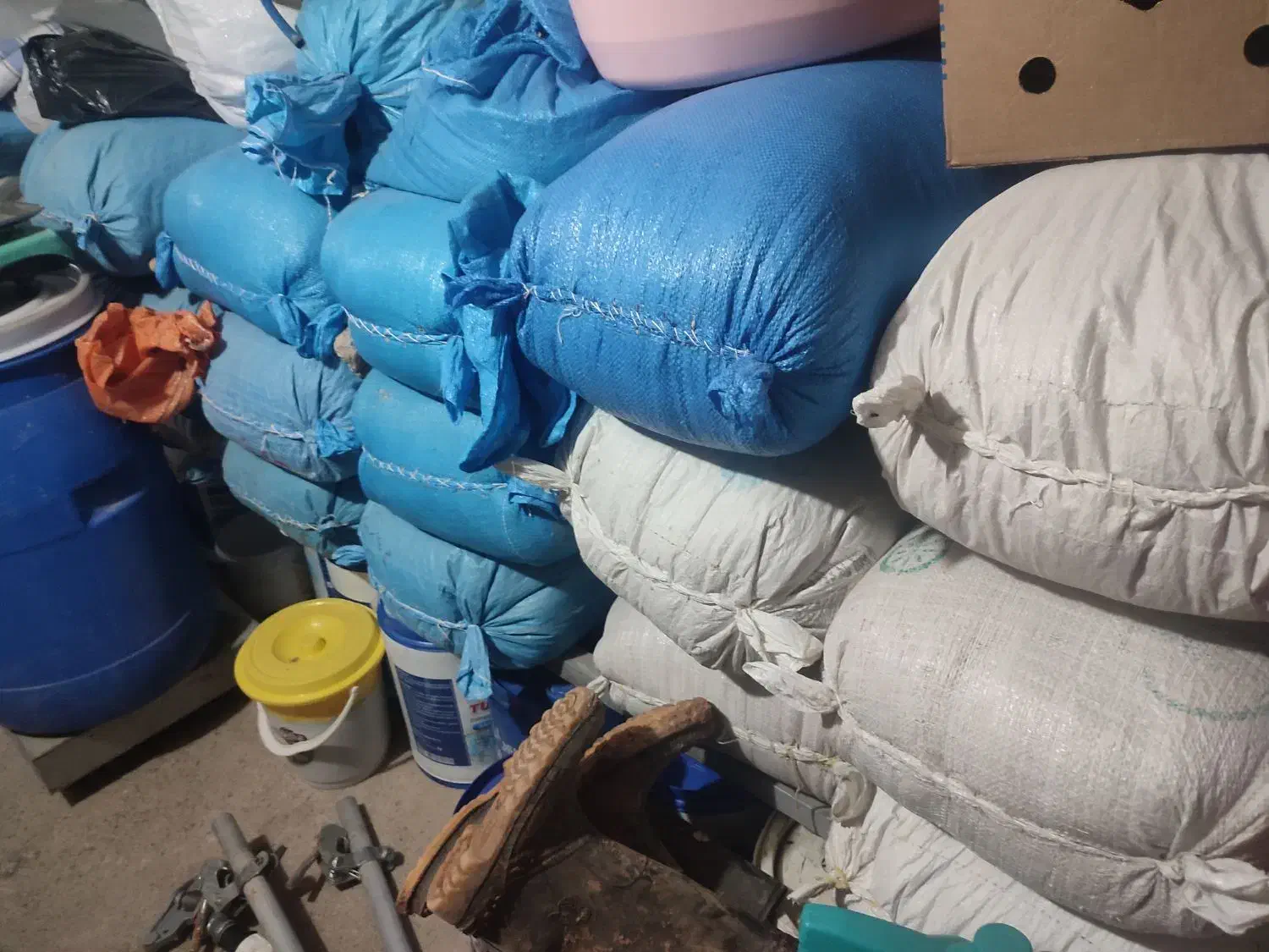 لوبیا چیتی|عمده‌فروشی|خانمیرزا, |دیوار