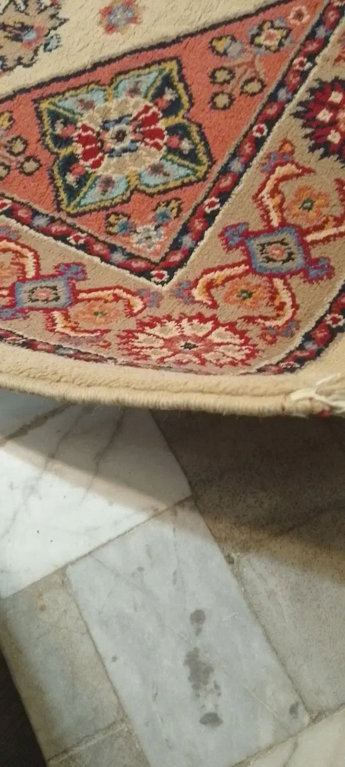 کناره ۱در۲|فرش|تهران, امیریه|دیوار