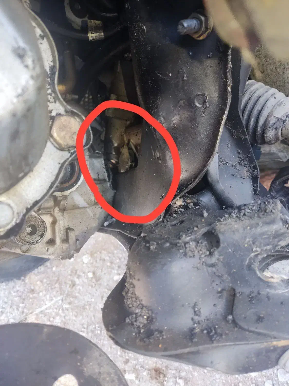 پارس فروشی|خودرو سواری و وانت|بروجن, |دیوار