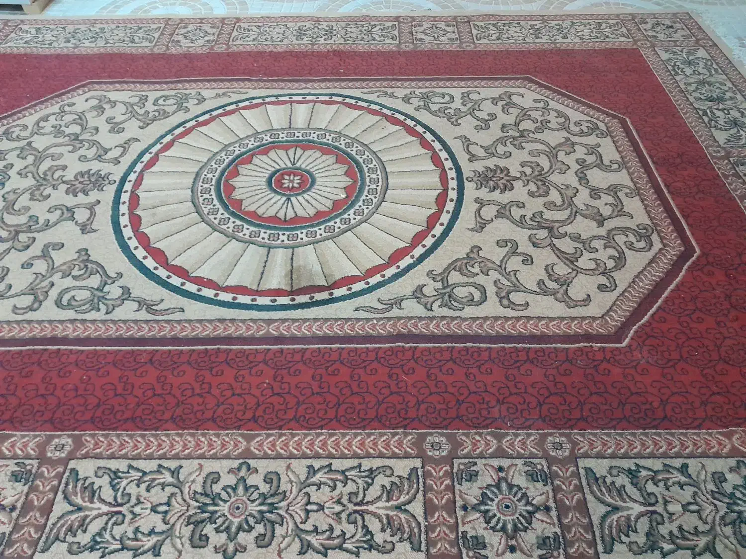 کلیم فرش ۱۲ متری|فرش|بوشهر, |دیوار