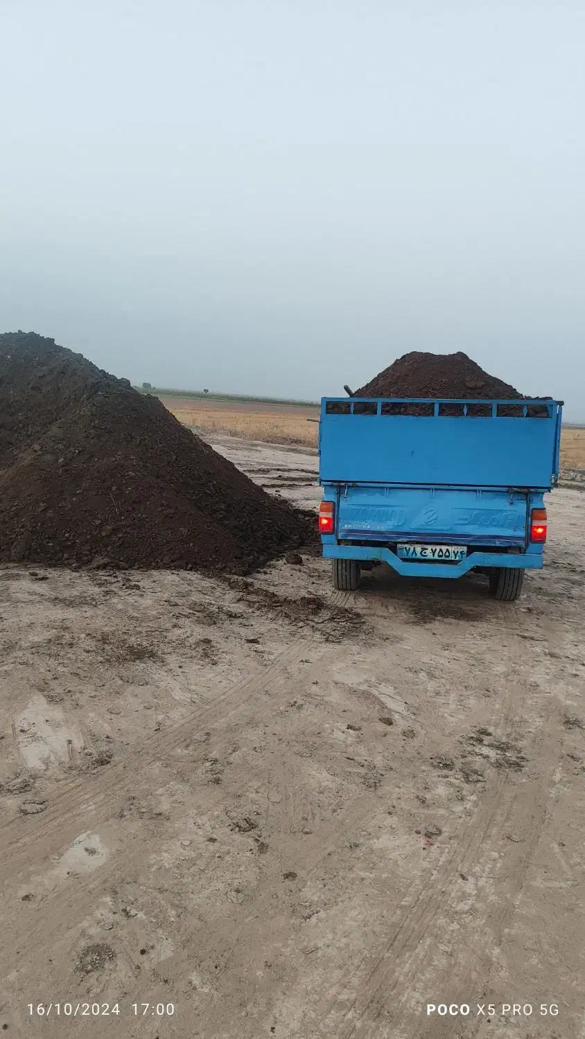 کودگاوی|خدمات باغبانی و درختکاری|مشهد, میان ولایت|دیوار