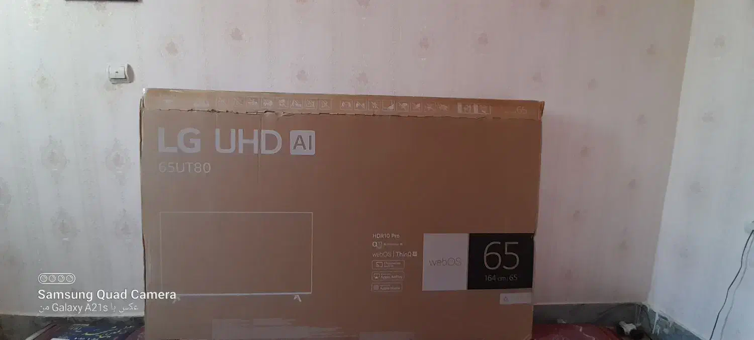 کارتن تلویزیون|تلویزیون و پروژکتور|الشتر, |دیوار