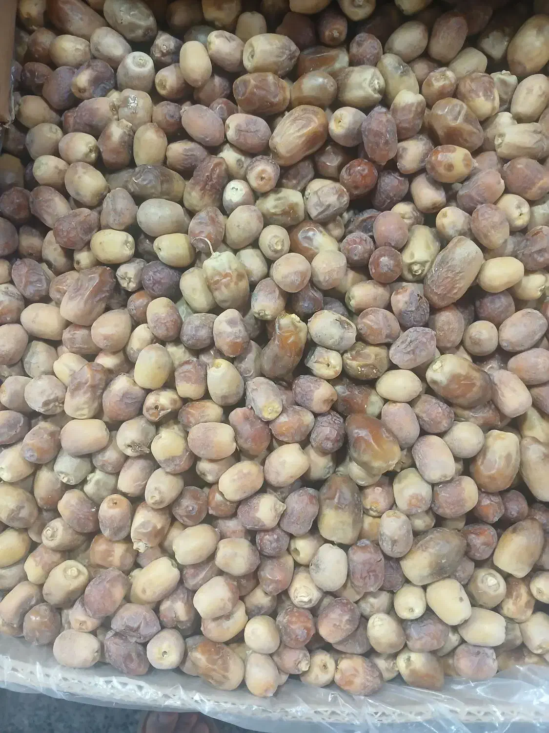 خرما|عمده‌فروشی|برازجان, |دیوار