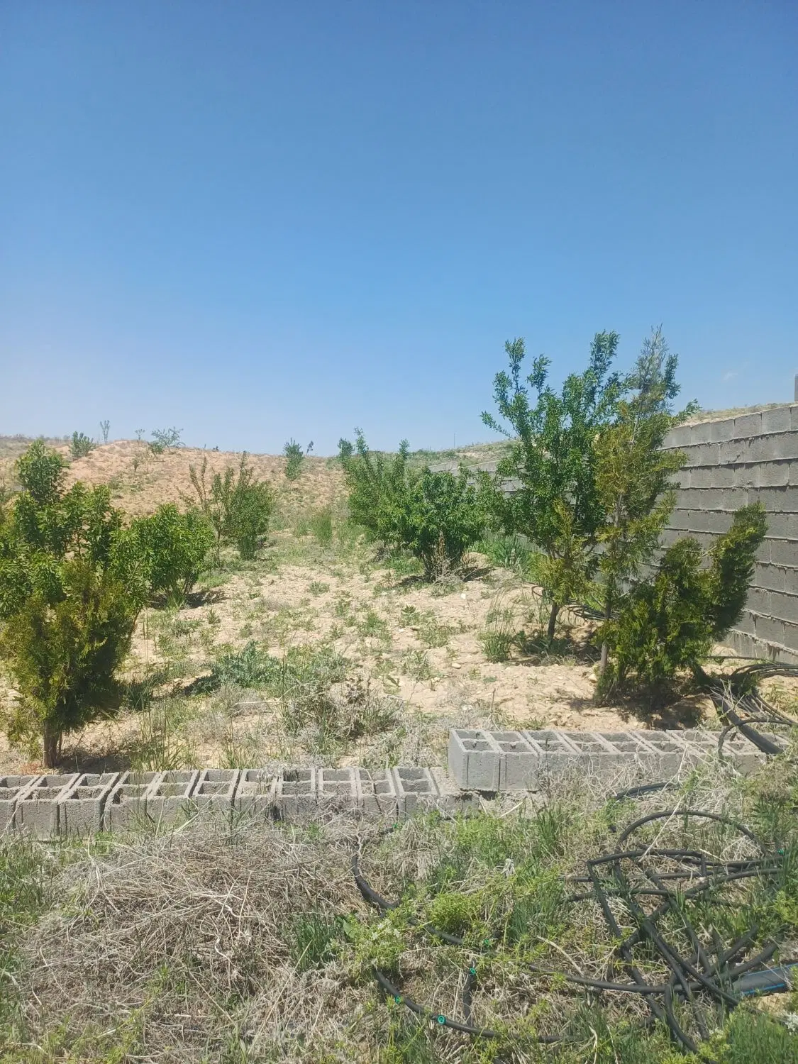 تصویر 3
