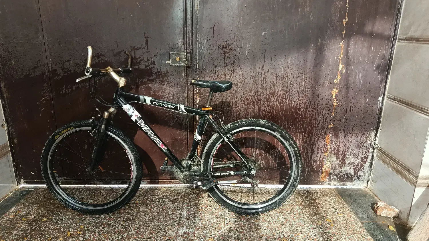 دوچرخه ویوا|دوچرخه، اسکیت، اسکوتر|چهارباغ, |دیوار