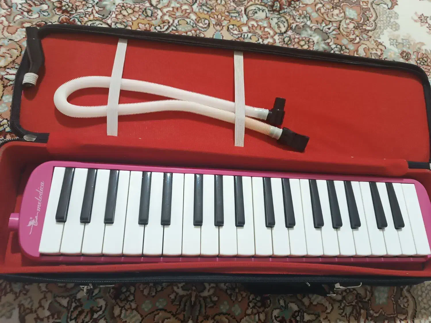 ملودیکا مدل سوان|سازهای بادی|سنندج, |دیوار