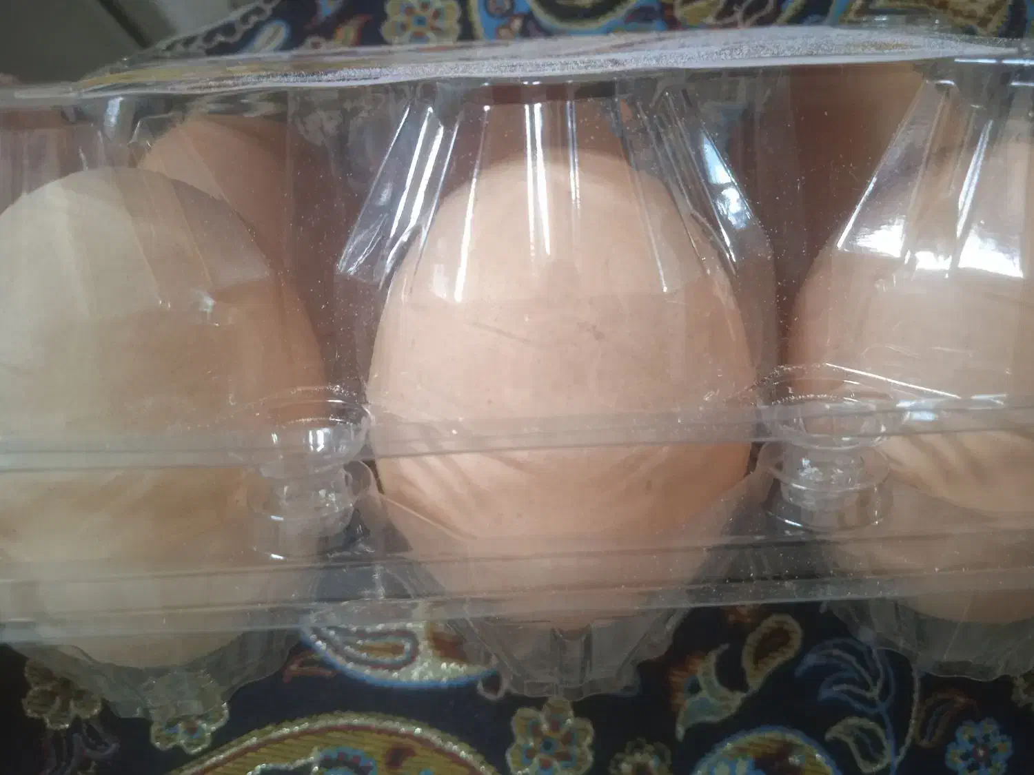 تخم مرغ محلی اورگانیک|خوردنی و آشامیدنی|تهران, قیام|دیوار