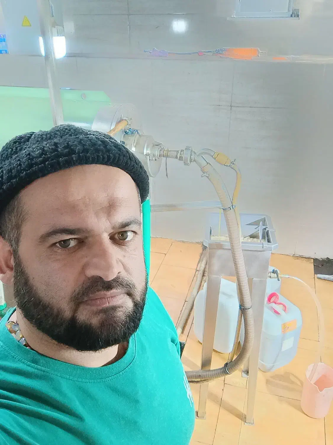 روغن زیتون|خوردنی و آشامیدنی|یاسوج, |دیوار