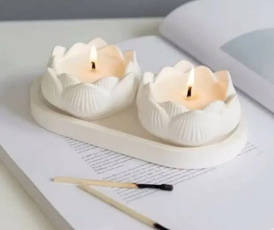 ساخت اکسسوری و مجسمه های گچی در منزل|استخدام هنری و رسانه|بندرعباس, |دیوار